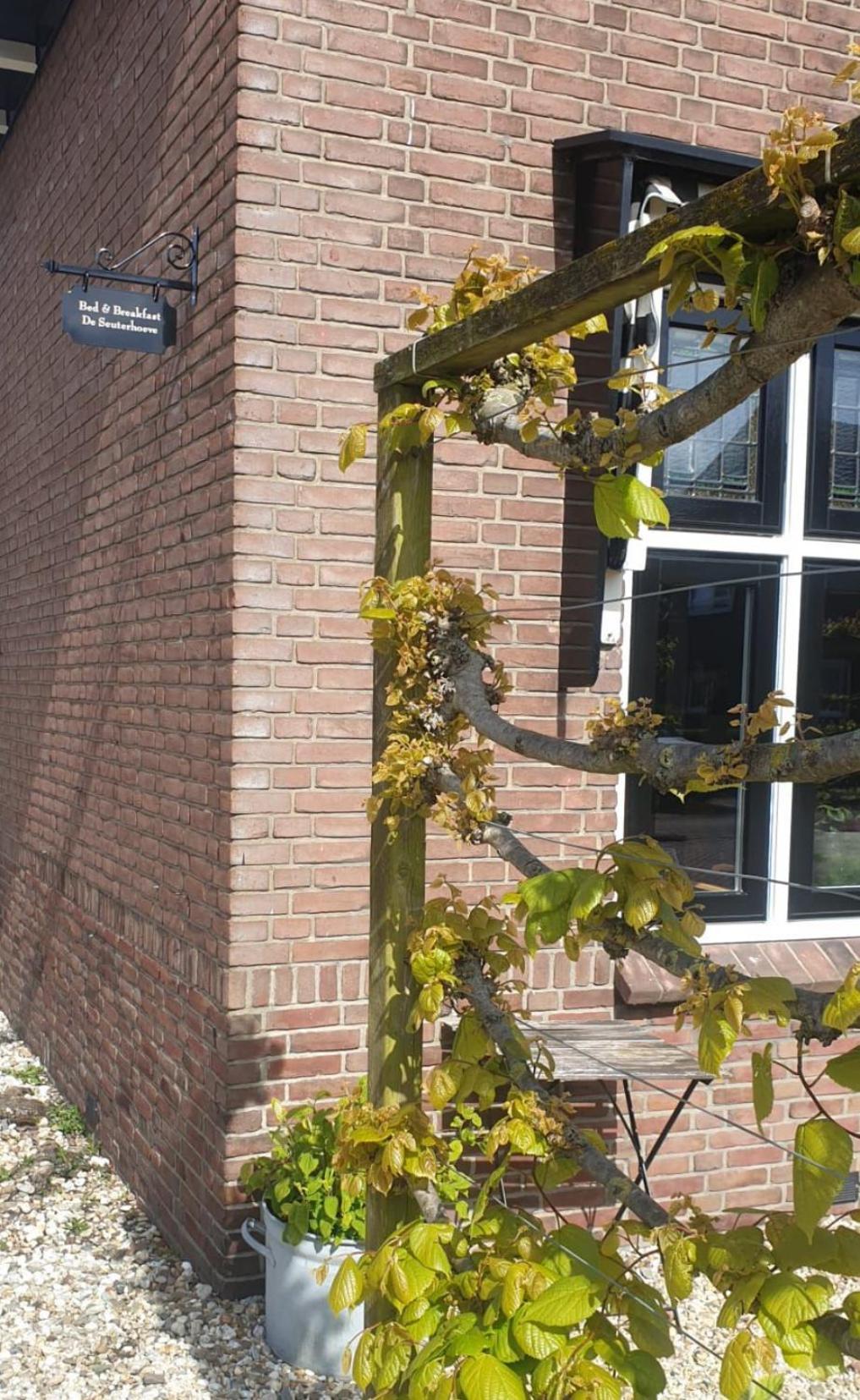 De Seuterhoeve 'S-Gravendeel Exterior foto